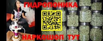 мдпв Рузаевка