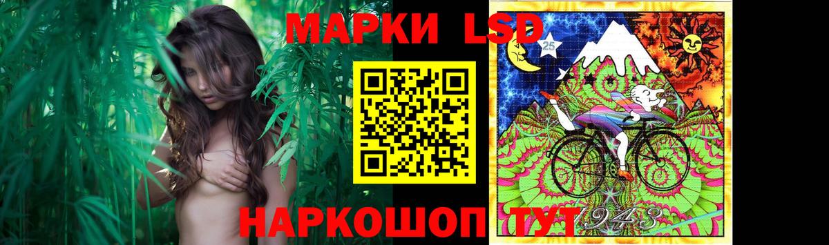 Псилоцибиновые грибы Новосибирск